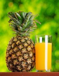 Pineapple Juice Manufacturer Supplier Wholesale Exporter Importer Buyer Trader Retailer in Hyderabad Andhra Pradesh India